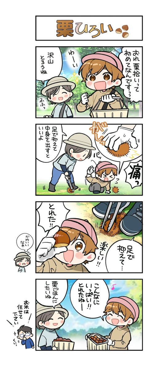 第122話　栗ひろい