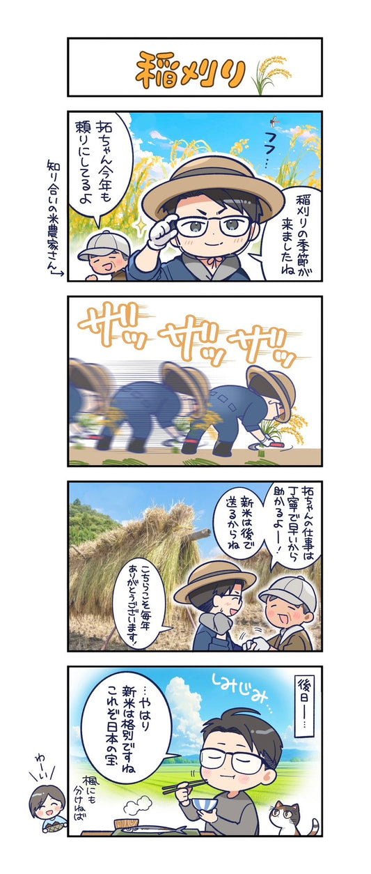 第124話　稲刈り