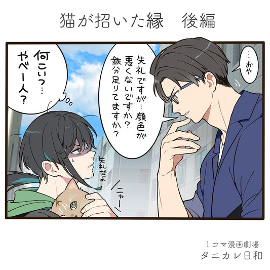 第36話 猫が招いた縁 後編